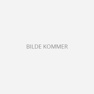 Sopp morkler tørket 12x100 gr