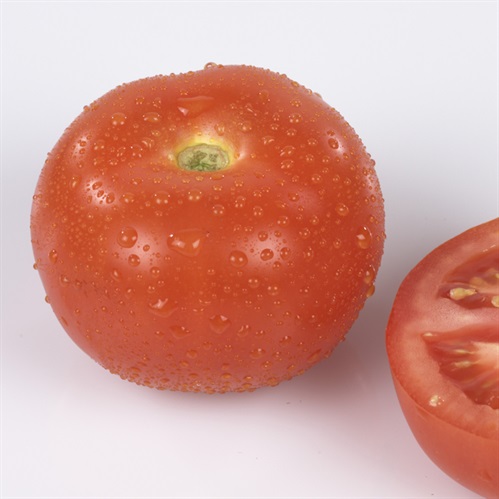 Tomat 57/67